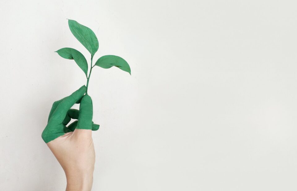 moving-sustainably
