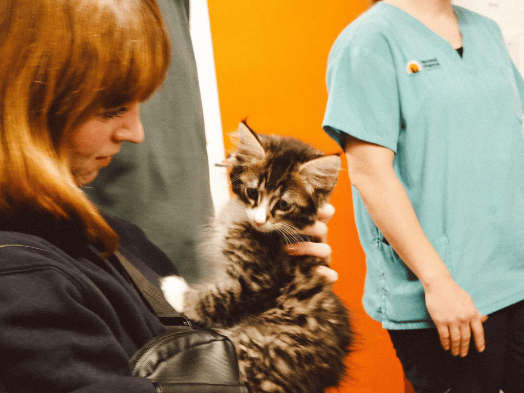 MyConnect x SCAR MyConnect x SCAR